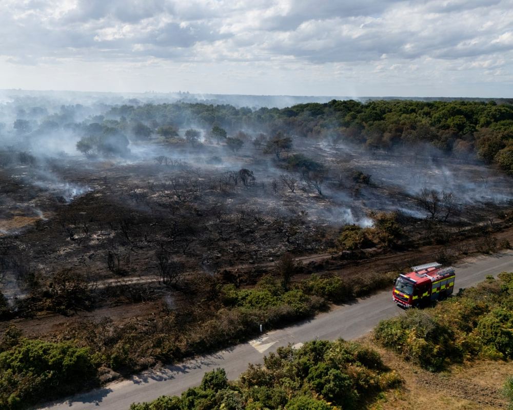 Revealed: Government quietly dropped plan to prepare England for wildfires