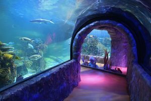 Acuario Inbursa in México D.F., Mexico