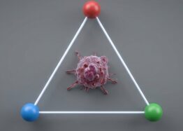 A Drug Combination Fights Both Senescence and Cancer