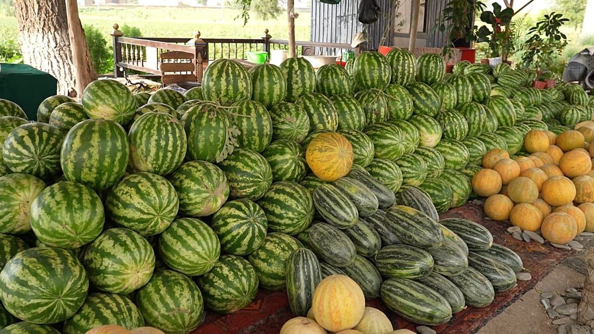 From Earth to table: following Uzbekistan's seasonal harvests