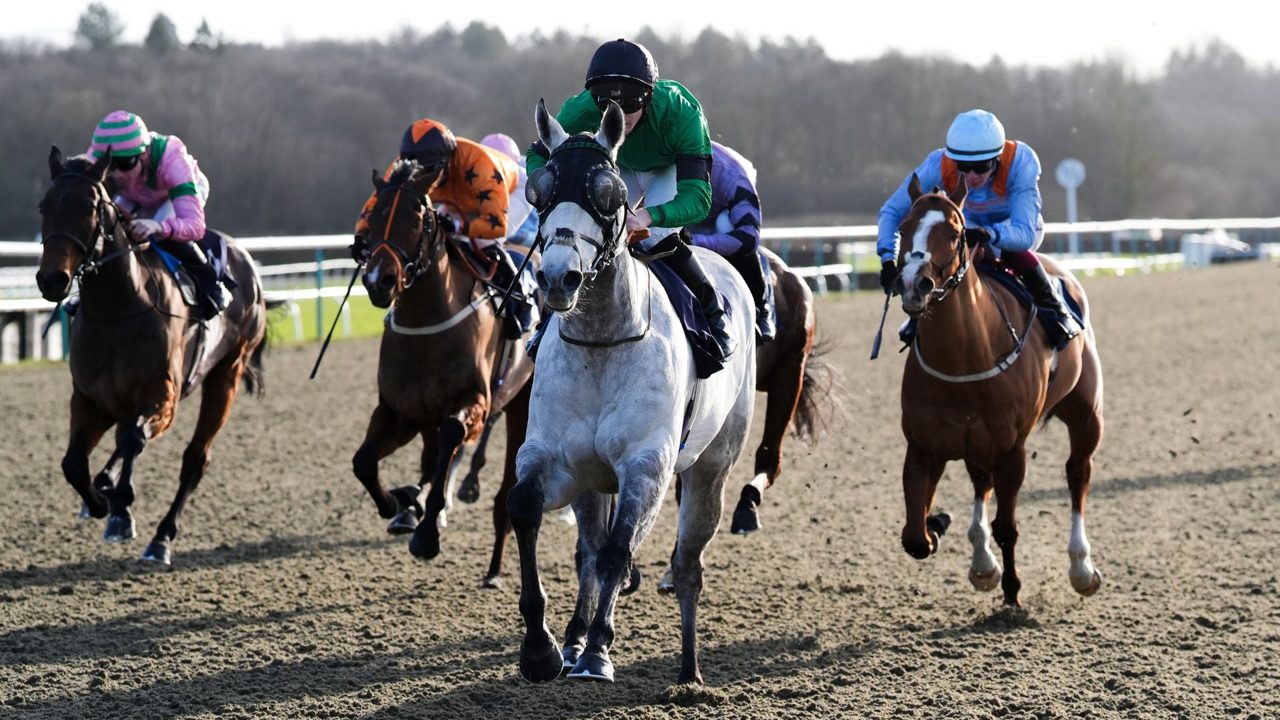 Lingfield, Wolverhampton and Ripon feature today