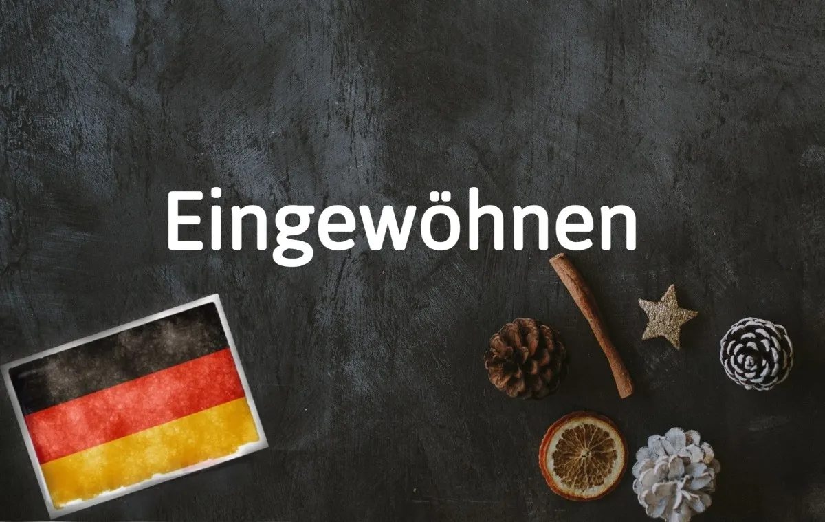 German word of the day: Eingewöhnen