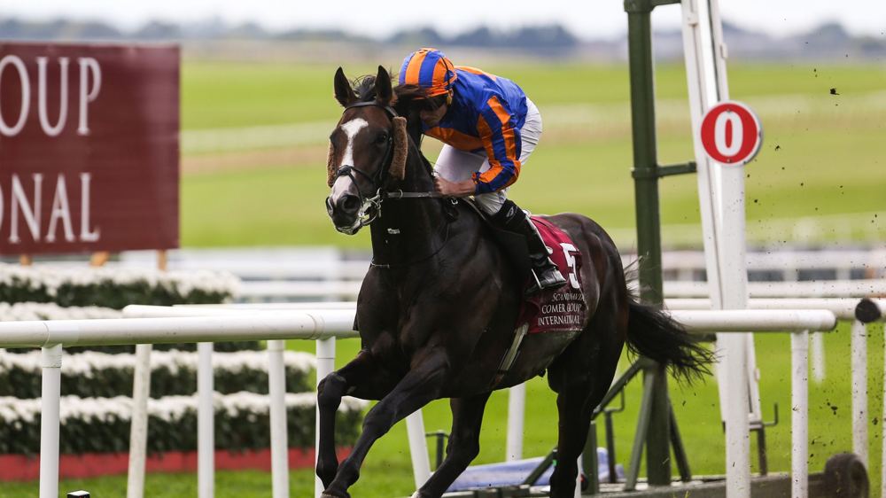 Scandinavia seeks sixth Group 1 in Prix du Cadran