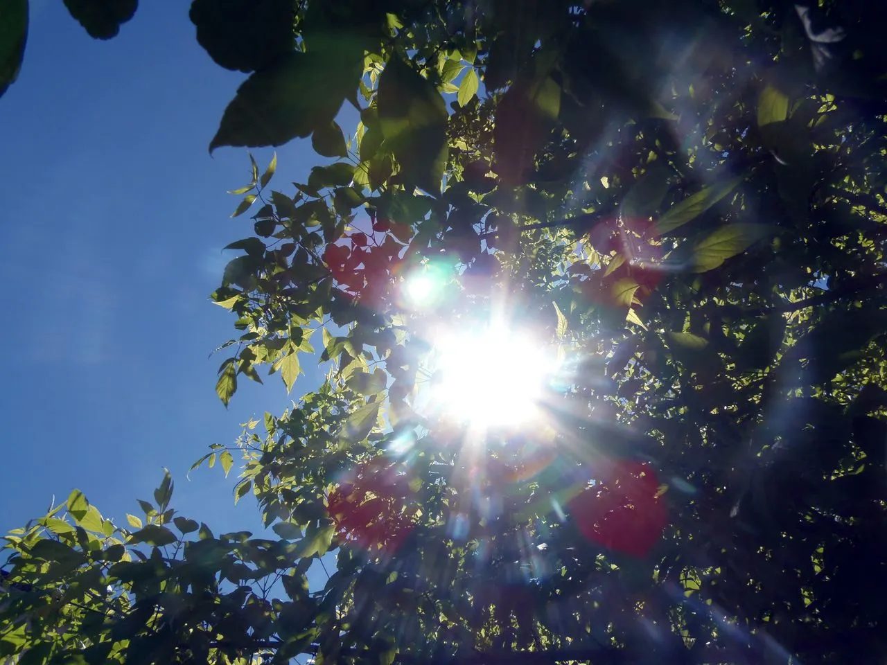 Switzerland set for one more blast of summer as temperatures spike