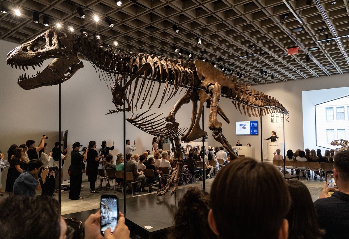 T-Rex fossil sells for record $50.1m as private wealth outbids science