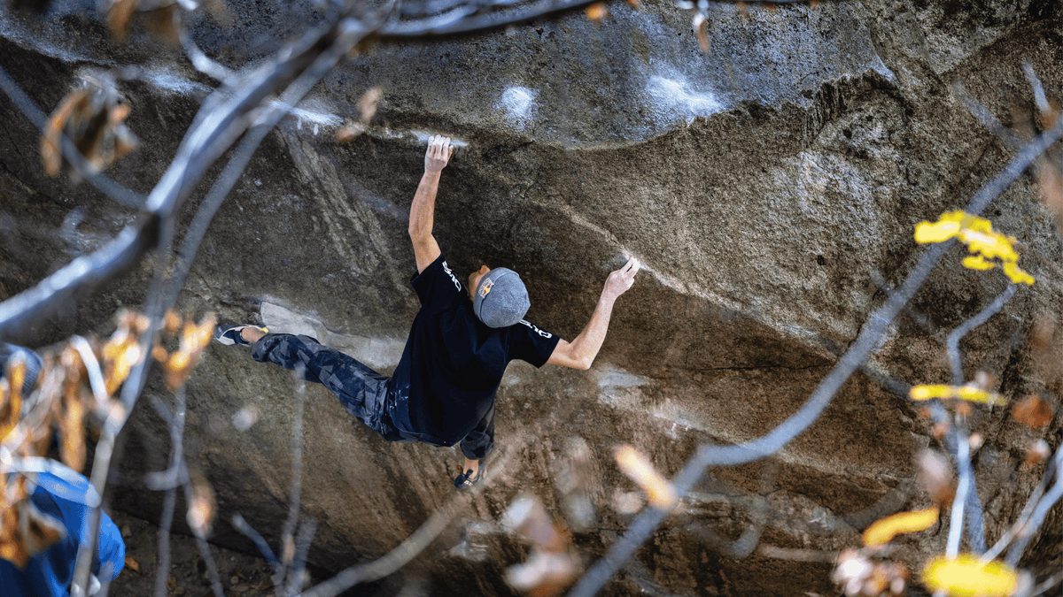 What’s the Difference Between an Injured Climber and a Resilient One? A Physio’s Answers Will Keep You Sending.
