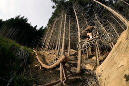Must Watch: Remy Morton Channels Steve Romaniuk &amp; Classic Freeride DVDs in 'Back to Normal'