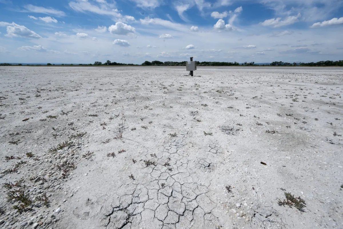 Austria to enshrine 2040 climate neutrality into law