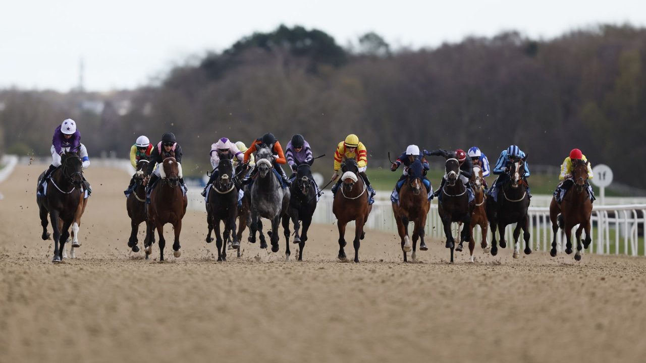 Today on Sky Sports Racing: Back In Black and El Matador clash at Newcastle