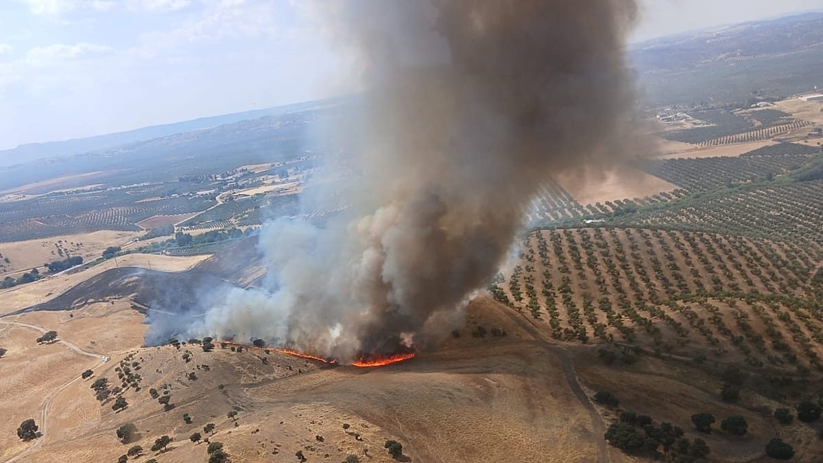 Spain enters peak fire season with blazes active and 50,000 hectares burned