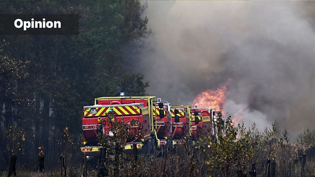 Heat, drought, fire: Europe needs to restore wetlands, rivers and landscapes