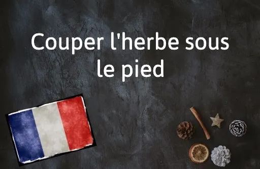 French Expression of the Day: Couper l'herbe sous le pied