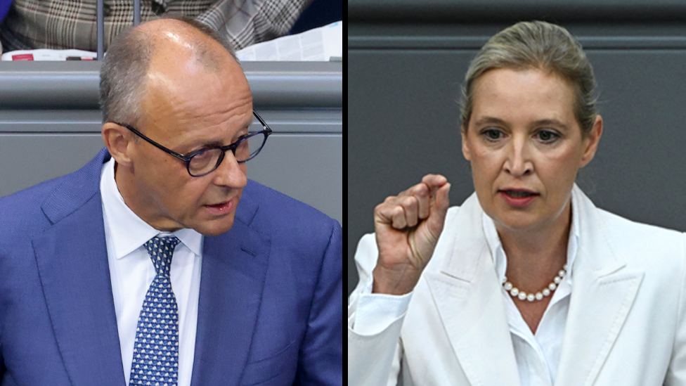 Germany's Merz attacks AfD in stormy debate after far-right election win
