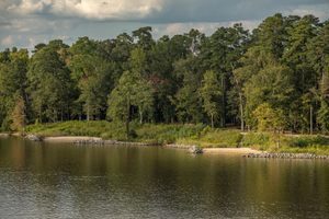 Chickahominy Riverfront Park in Williamsburg, Virginia
