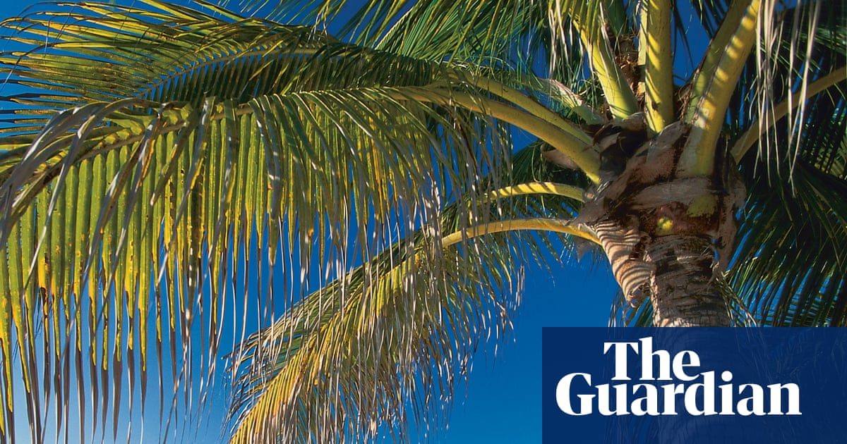 ‘A mockery’: how offshore tax havens are thwarting the UK’s transparency push